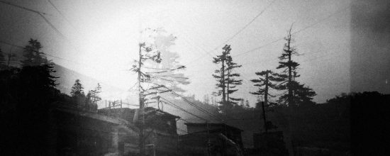 Tall conifers and rooftops silhouetted against a bright sky with wires – double exposure, multiple exposure, n-fold exposure, superposition, 二重露光, 多重露光, n重露光, 重ね合わせ, 35mm black and white film, 2xJPsw, Stefan Paulus